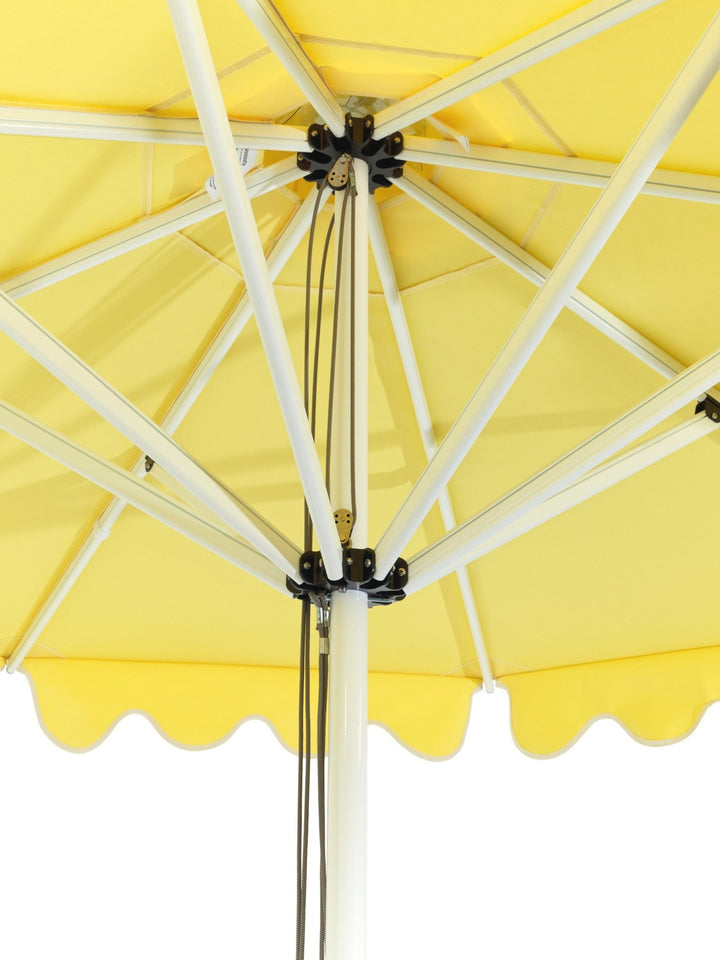 The Balmoral - Lemon - originalparasolcompany